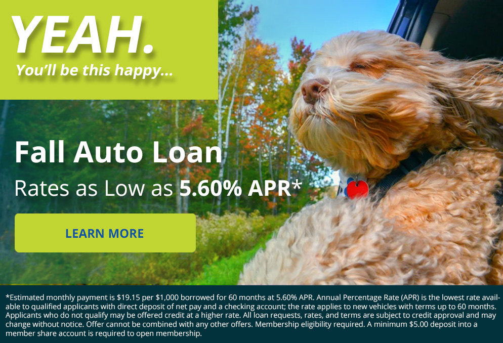 Fall Auto Loan