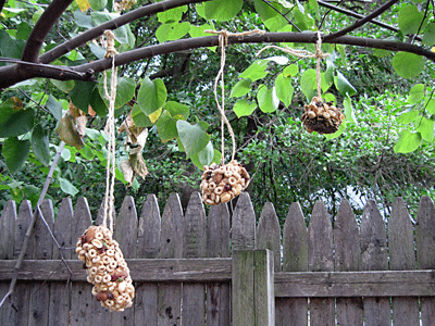 Pine Cone Bird Feeders