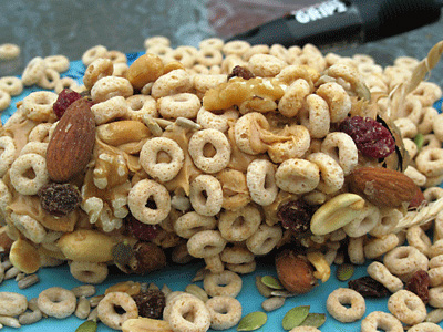 Pine Cone Bird Feeders