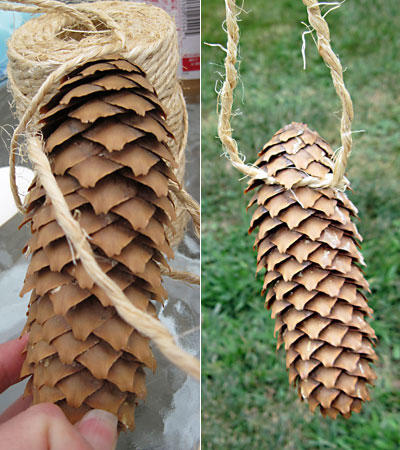 Pine Cone Bird Feeders